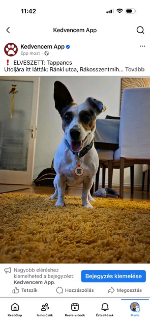 Elveszett állat térképen