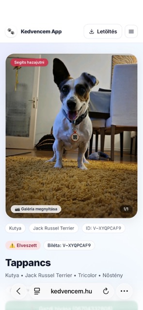 Elveszett poszt részletei