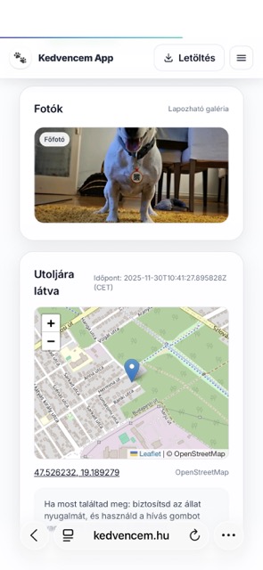 Elveszett állat bejelentés nézete
