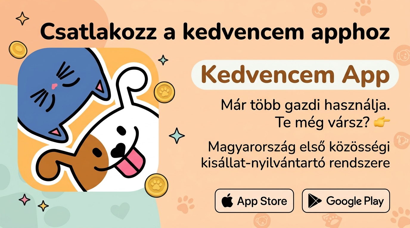 A szeretet nem ér véget a búcsúval 🤍