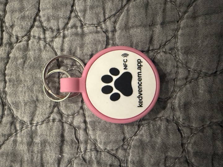 NFC Biléta - Pink (Kicsi) termékfotó